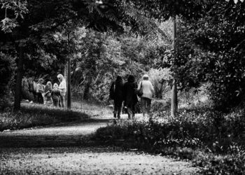 Crónica de un Legado