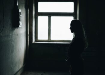 La intimidad de las abejas