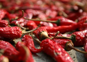 Tanto le ardía el corazón