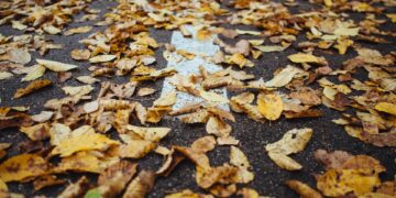 Las fogatas de otoño