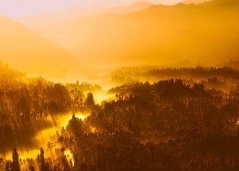 El último sorbo de existencia