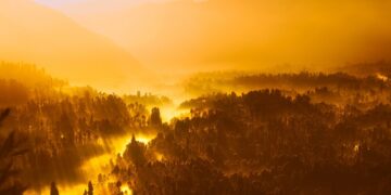 El último sorbo de existencia