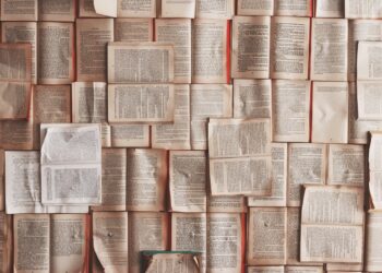 Mario Vargas Llosa, ecología, teleconferencias y coronavirus en el festival de literatura de Berlín 2020