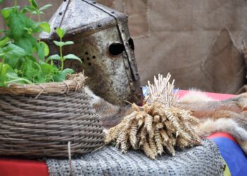 todos_contra_el_caos