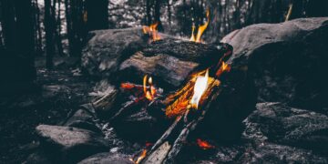 Cuando regresaron los yaguaretés