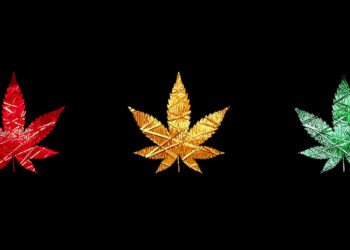 Rojo, amarillo, verde o…¿dorado otoñal? El semáforo de la política de drogas en el nuevo gobierno alemán